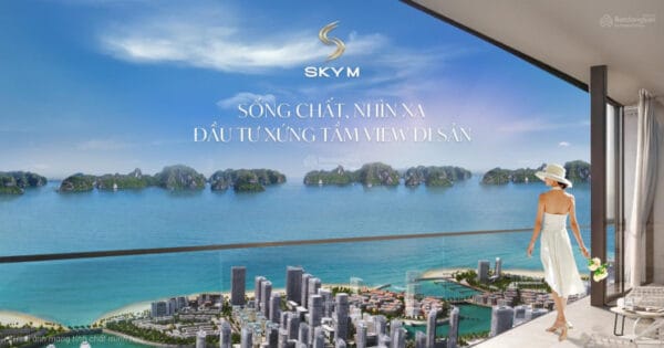 tong quan skym ha long 1