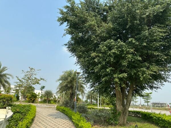 anh thuc te 10 bac cau han licogi18 riverside