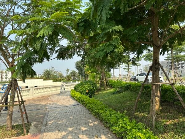 anh thuc te 12 bac cau han licogi18 riverside