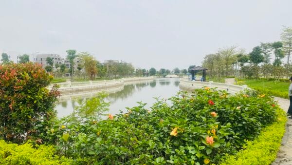 anh thuc te 5 bac cau han licogi18 riverside