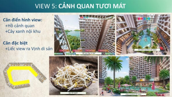 view 5 thanh long xanh island sun cat ba