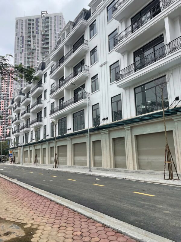 anh thuc te 1 central lakeside taseco trung van