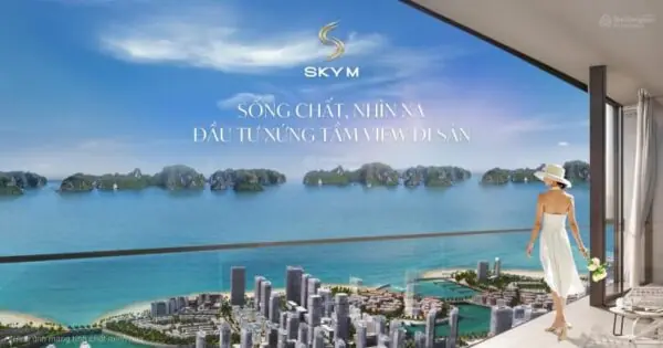 tong quan skym ha long